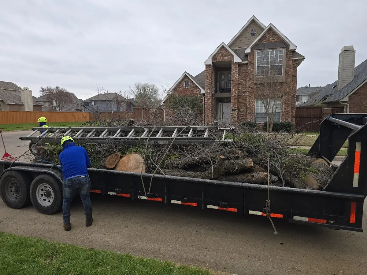 Expert Crown Reduction with proper safety equipment in Duchesne